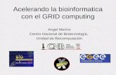Acelerando la bioinformatica con el GRID computing Angel Merino Centro Nacional de Biotecnología, Unidad de Biocomputación.