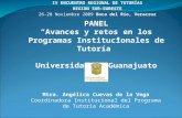 IV ENCUENTRO REGIONAL DE TUTORÍAS REGION SUR-SURESTE 26-28 Noviembre 2009 Boca del Río, Veracruz PANEL “Avances y retos en los Programas Institucionales.