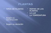TIPOS DE PLANTAS  Según su construcción  Según su duración  PARTES DE LAS PLANTAS  LA LUZ  LA TEMPERATURA.