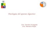 Patologías del aparato digestivo Dra. Sandra Arriagada Dra. Mariana Rojas.