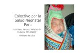 Colectivo por la Salud Neonatal Peru CARE Peru, PRISMA, Sociedad de Pediatría, OPS, UNICEF Ministerio de Salud.
