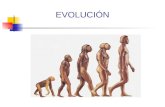 EVOLUCIÓN. SUMARIO  El estudio de la ciencia  Origen de los seres vivos  ¿Qué es la vida?  Evolución 1. ¿Qué es la evolución? 2. Las teorías de la.