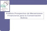 1 Análisis Prospectivo de Mecanismos Financieros para la Conservación Bolivia.