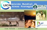Comisión Mundial de Areas Protegidas Ivan Arnold – ivanarnoldt@gmail.com.