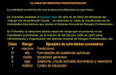 CLASES DE RIESGOS PROFESIONALES La actividad económica de una empresa la determina su que hacer. En Colombia mediante el Decreto 1607 de Julio 31 de 2002.