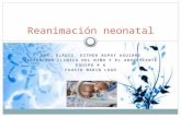 DRA. GLADYS ESTHER RUPAY AGUIRRE VALORACION CLINICA DEL NIÑO Y EL ADOLESCENTE EQUIPO # 6 FAUSTO MARIN LUGO Reanimación neonatal.