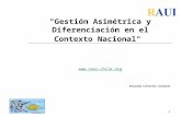 1 "Gestión Asimétrica y Diferenciación en el Contexto Nacional"  Reinaldo Cifuentes Calderón.