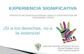 PROYECTO DE EDUCACION SEXUAL PARA LA CONSTRUCCIÓN DE CIUDADANIA- PESCC ¡Sí a los derechos, no a la violencia! Institución Educativa Perpetuo Socorro Sonnia.