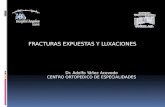 FRACTURAS EXPUESTAS Y LUXACIONES Dr. Adolfo Yáñez Acevedo CENTRO ORTOPEDICO DE ESPECIALIDADES.