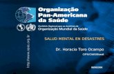 Dr. Horacio Toro Ocampo OPS/OMS/Brasil 08/06/2006 SALUD MENTAL EN DESASTRES.