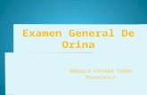 Examen General De Orina MARCELA VIVIANA TOURN Bioquímica 1.