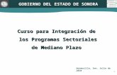 Curso para Integración de los Programas Sectoriales de Mediano Plazo Hermosillo, Son. Julio de 2010 1 GOBIERNO DEL ESTADO DE SONORA.