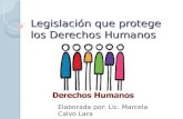Legislación que protege los Derechos Humanos Elaborada por: Lic. Marcela Calvo Lara.
