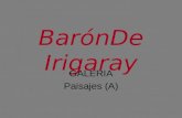 BarónDe Irigaray GALERIA Paisajes (A). Paisaje 01 Fotografía sobre Metal Tamaño 100 x X Precio 900 €