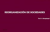 AÑO 20121 REORGANIZACIÓN DE SOCIEDADES Prof. A. Bacigaluppi.