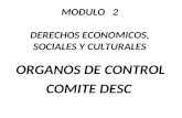 MODULO 2 DERECHOS ECONOMICOS, SOCIALES Y CULTURALES ORGANOS DE CONTROL COMITE DESC.