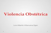 Violencia Obstétrica Luis Alberto Villanueva Egan.