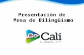 Presentación de Mesa de Bilingüismo. Antecedentes Evaluaciones de Políticas Nacionales de Educación. La Educación superior en Colombia, 2012, publicado.
