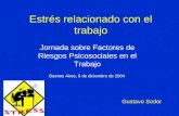 Estrés relacionado con el trabajo Jornada sobre Factores de Riesgos Psicosociales en el Trabajo Buenos Aires, 6 de diciembre de 2004 Gustavo Sodor.