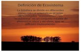 Definición de Ecosistema La biósfera se divide en diferentes zonas con características propias denominadas "ecosistemas". Un “ecosistema” es un conjunto.