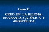 Tema 11 CREO EN LA IGLESIA: UNA,SANTA, CATÓLICA Y APOSTÓLICA.