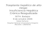 SETH. Badajoz 9 de octubre 2009 Rafael Bañares Hospital General Universitario Gregorio Marañón. CIBEREHD Trasplante hepático de alto riesgo Insuficiencia.