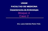 Bloque 4 Caso 2 Dra. Laura Gabriela Flores Peña UNAM FACULTAD DE MEDICINA Departamento de Embriología.
