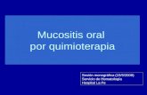 Mucositis oral por quimioterapia Sesión monográfica (15/5/2008) Servicio de Hematología Hospital La Fe.