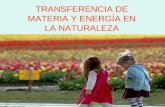 TRANSFERENCIA DE MATERIA Y ENERGÍA EN LA NATURALEZA.