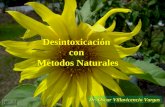Desintoxicación con Metodos Naturales Dr. Oscar Villavicencio Vargas.