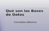 Qué son las Bases de Datos Conceptos Básicos. Definición de Bases de Datos  Una base de datos o banco de datos es un conjunto de datos que pertenecen.