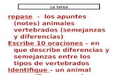 La tarea repase - los apuntes (notes) animales vertebrados (semejanzas y diferencias) Escribe 10 oraciones – en que describe diferencias y semejanzas entre.