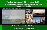 Zoila Bustamante Cárdenas Presidenta CONAPACH Taller Apropech 26 julio 2.011 Particularidades Regionales de la Pesca en Chile.