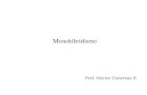 Monohibridismo Prof. Héctor Cisternas R.. Monohibridismo El término monohibridismo se refiere al estudio de una serie alélica. Una serie alélica es el.