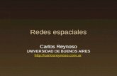 Redes espaciales Carlos Reynoso UNIVERSIDAD DE BUENOS AIRES  .