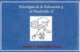 Psicología de la Educación y el Desarrollo II Grupo 1º Educación Física.