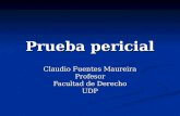 Prueba pericial Claudio Fuentes Maureira Profesor Facultad de Derecho UDP.