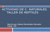 ACTIVIDAD DE C. NATURALES TALLER DE REPTILES Hecho por Liliana Fernández Dacosta Clase: 1ºF.