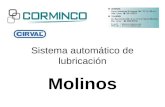 Sistema automático de lubricación Molinos. Detalle de la plancha soporte Tablero principal Plancha de acero Pulmón Asas Válvula dosificadora Válvula progresiva.