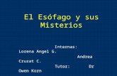 El Esófago y sus Misterios Internas: Lorena Angel G. Andrea Cruzat C. Tutor: Dr Owen Korn.