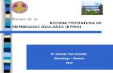Manejo de la ROTURA PREMATURA DE MEMBRANAS OVULARES (RPMO) Dr. Gonzalo Caro Alvarado Ginecólogo – Obstetra 2014.