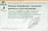 Estrategias de conservación de especies Shorea lumutensis: variación genética y conservación A partir de: SL Lee et al. 2006. Linking the gaps between.
