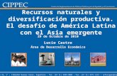 Recursos naturales y diversificación productiva. El desafío de América Latina con el Asia emergente 29 de Octubre de 2010 Lucio Castro Área de Desarrollo.