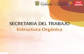 Julio de 2013 SECRETARIA DEL TRABAJO Estructura Orgánica.