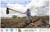 Diana Giraldo d.giraldo@cgiar.org Apoyo al sector agropecuario en la adaptación a fenómenos climáticos, mediante herramientas agroclimáticas como apoyo.