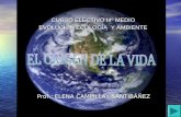 Prof.: ELENA CAMPILLAY SANTIBÁÑEZ CURSO ELECTIVO IIIº MEDIO EVOLUCIÓN ECOLOGÍA Y AMBIENTE.