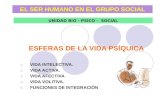 EL SER HUMANO EN EL GRUPO SOCIAL ESFERAS DE LA VIDA PSÍQUICA 1.VIDA INTELECTIVA. 2.VIDA ACTIVA. 3.VIDA AFECTIVA 4.VIDA VOLITIVA. 5.FUNCIONES DE INTEGRACIÓN.