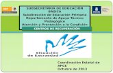 SUBSECRETARIA DE EDUCACIÓN BÁSICA Subdirección de Educación Primaria Departamento de Apoyo Técnico Pedagógico Atención y Prevención a la Condición de Extraedad.