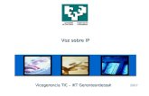 2007 Voz sobre IP Vicegerencia TIC – IKT Gerenteordetzak.
