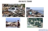 Costa de Aceh (Indonesia). Antes del maremoto. Costa de Aceh (Indonesia). Después del maremoto.